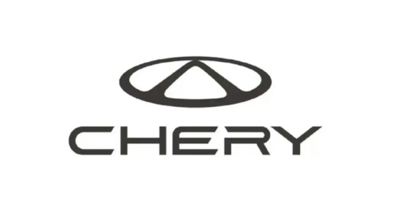 China chery car parts （1）